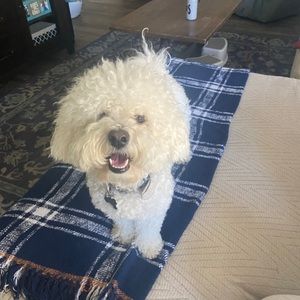 Meet your Posher, Iliana